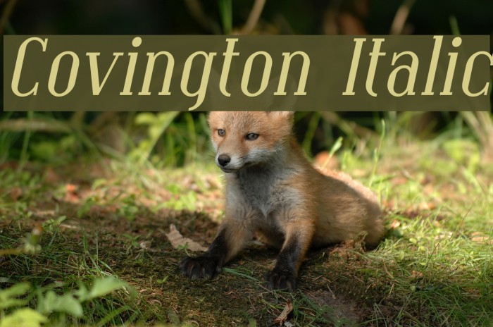 Covington Italic フォント examples
