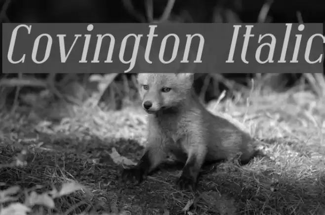 Covington Italic フォント examples