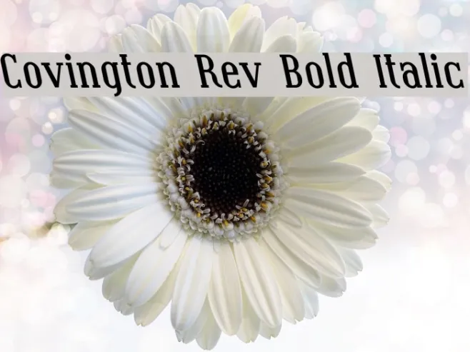 Covington Rev Bold Italic Example 2