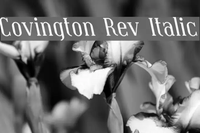 Covington Rev Italic Fuentes examples