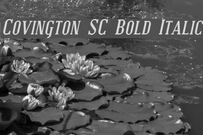 Covington SC Bold Italic Font examples