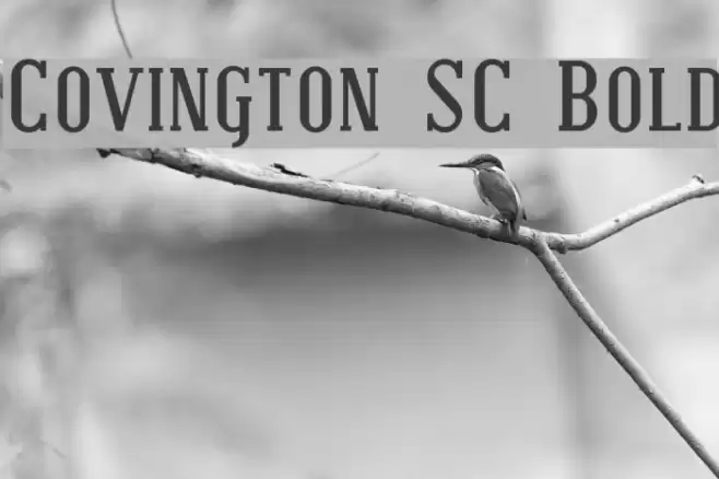 Covington SC Bold Font examples
