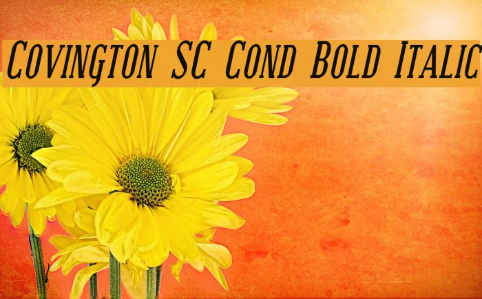 Covington SC Cond Bold Italic Font examples