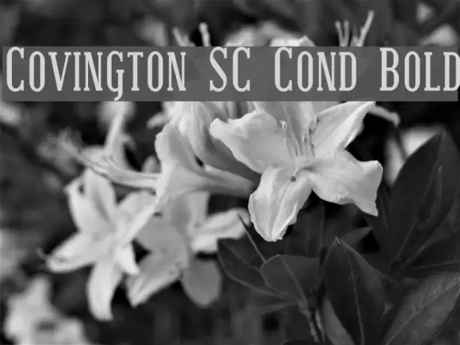 Covington SC Cond Bold Шрифта examples