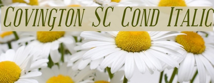 Covington SC Cond Italic Font examples