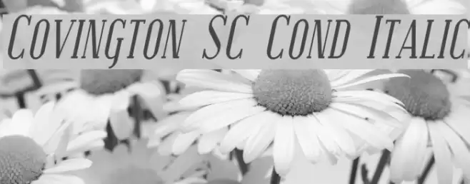 Covington SC Cond Italic Font examples