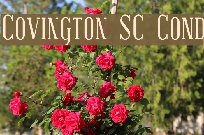 Covington SC Cond Font examples