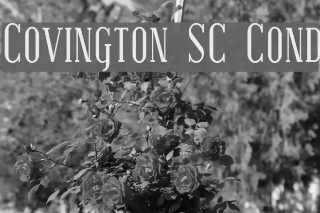 Covington SC Cond Font examples