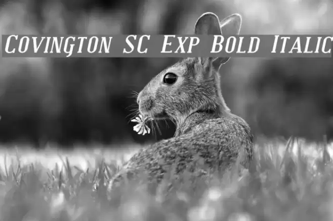 Covington SC Exp Bold Italic Font examples