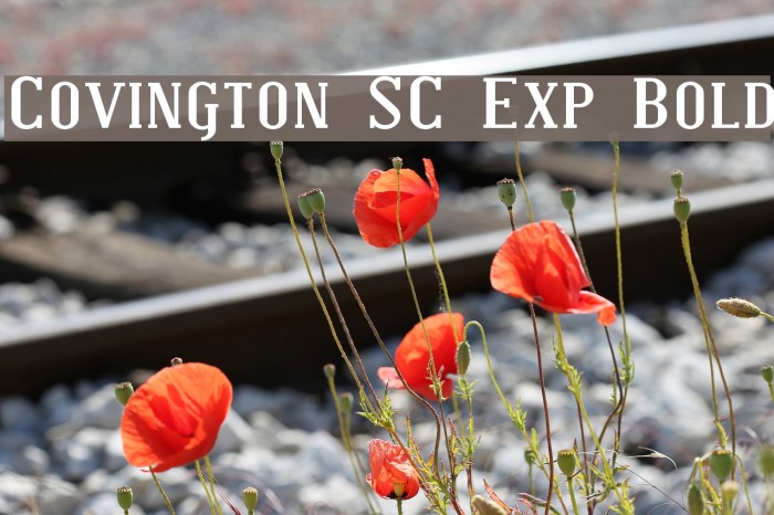 Covington SC Exp Bold Font examples