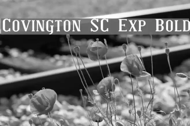 Covington SC Exp Bold Schriftart examples