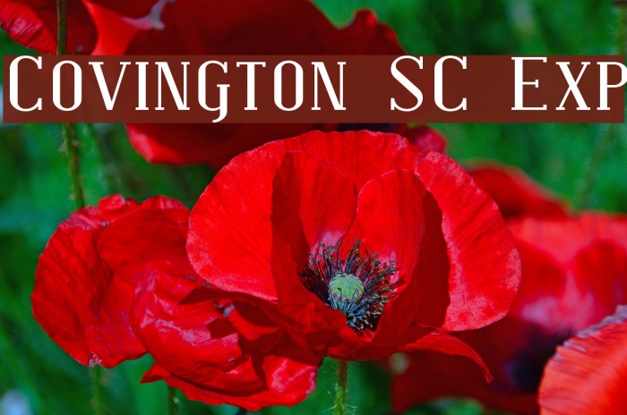 Covington SC Exp Font examples