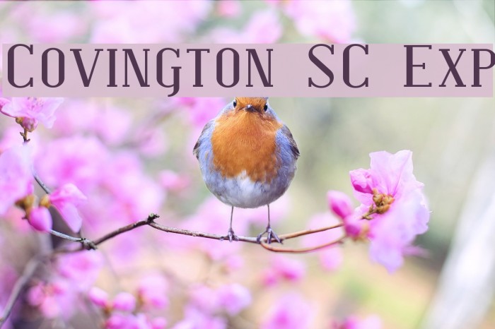 Covington SC Exp Font examples