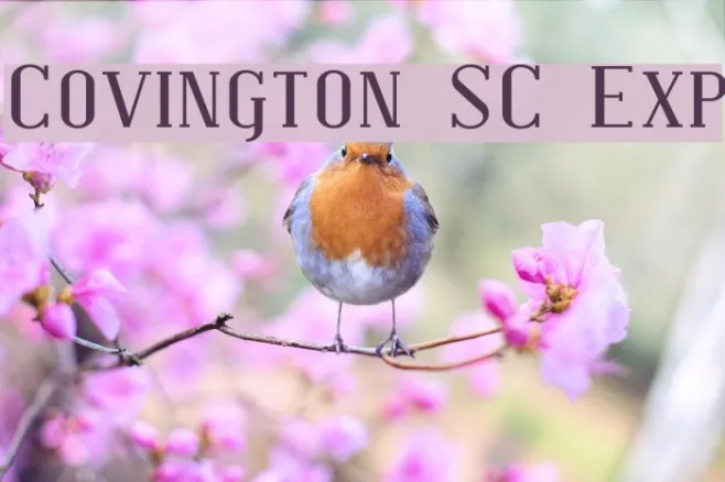 Covington SC Exp Example 3