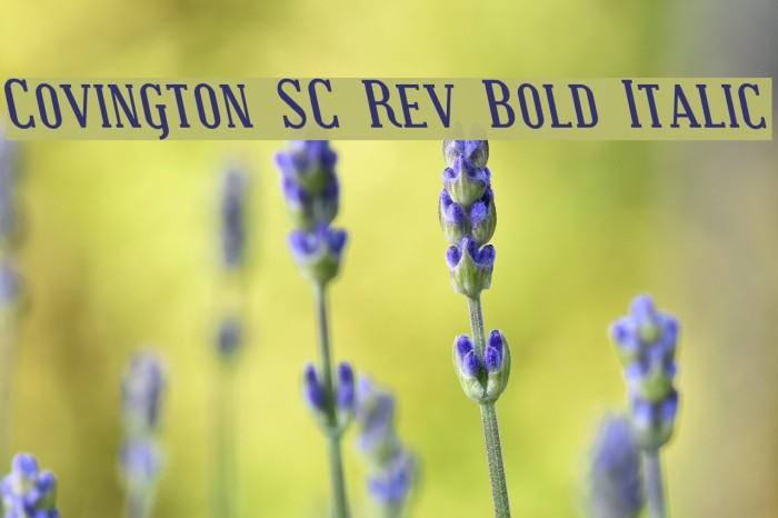 Covington SC Rev Bold Italic Font examples