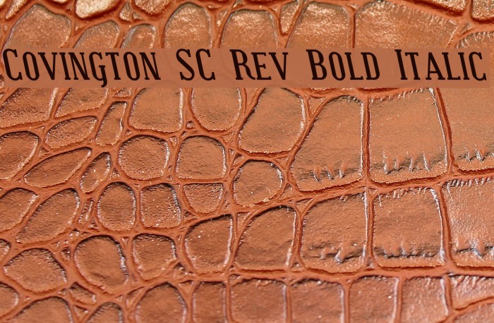 Covington SC Rev Bold Italic Font examples
