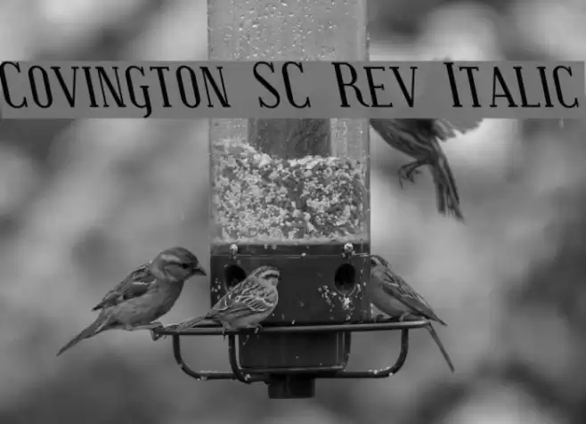 Covington SC Rev Italic फ़ॉन्ट examples