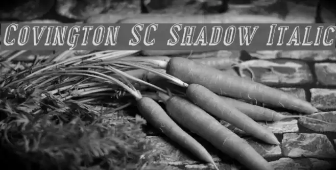 Covington SC Shadow Italic Font examples
