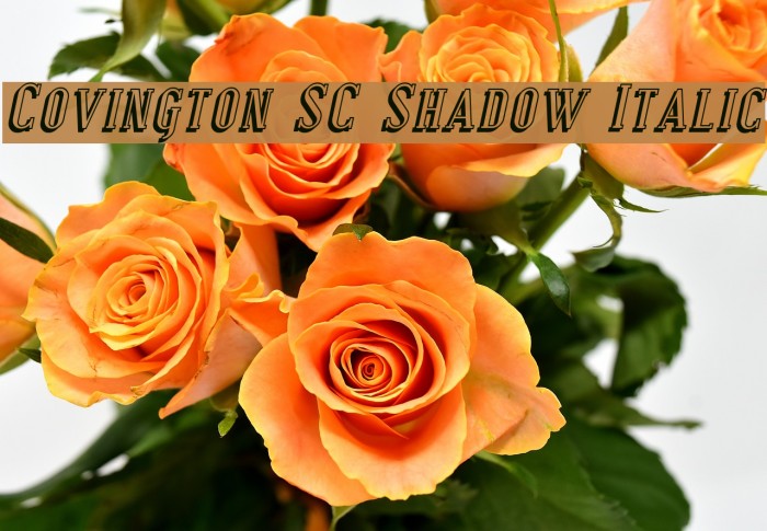 Covington SC Shadow Italic Font examples