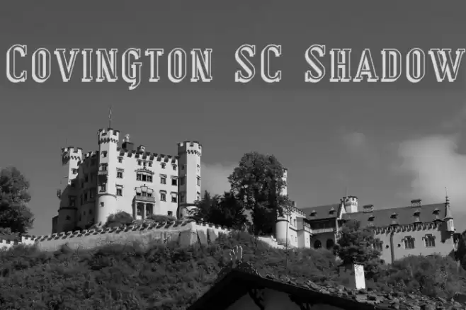 Covington SC Shadow Fuentes examples