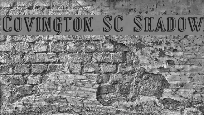 Covington SC Shadow Fuentes examples