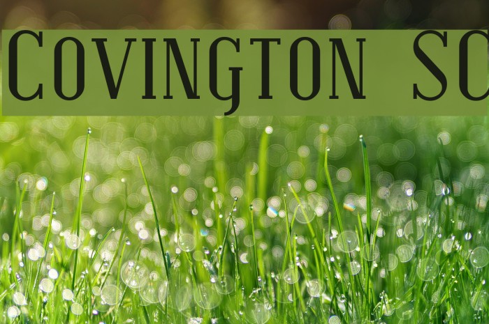 Covington SC Font examples