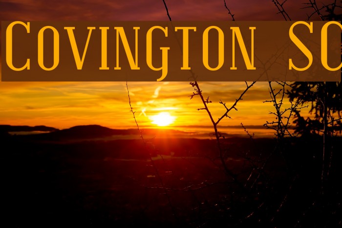 Covington SC Font examples