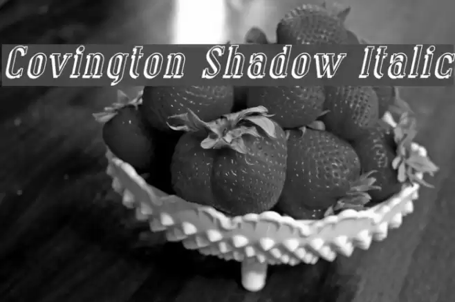 Covington Shadow Italic Font examples