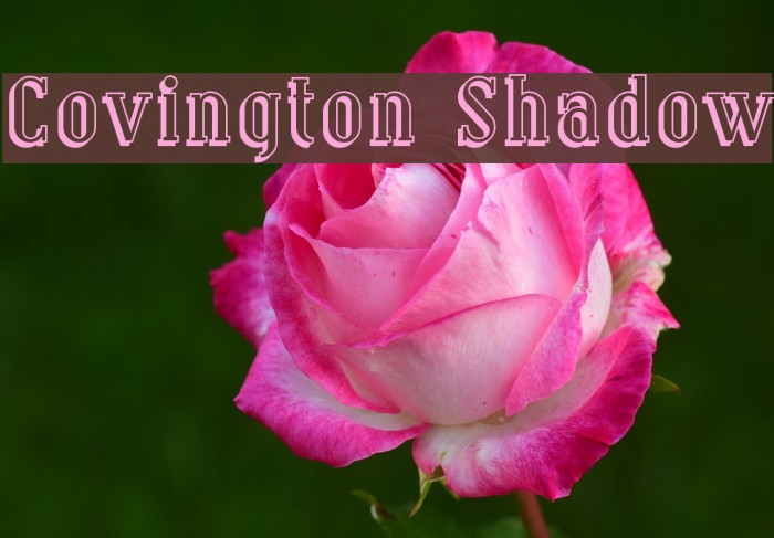 Covington Shadow Font examples
