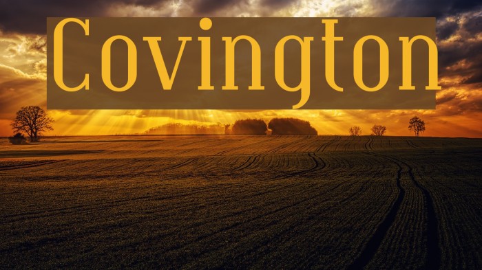 Covington Polices examples