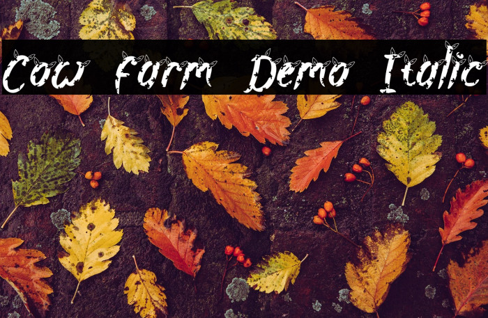 Cow Farm Demo Italic Example 3