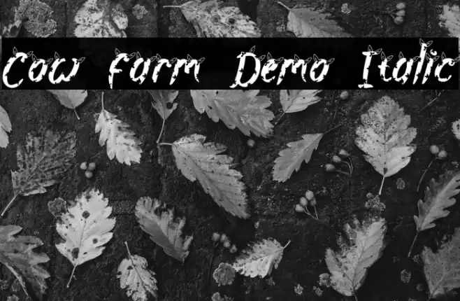 Cow Farm Demo Italic Font examples