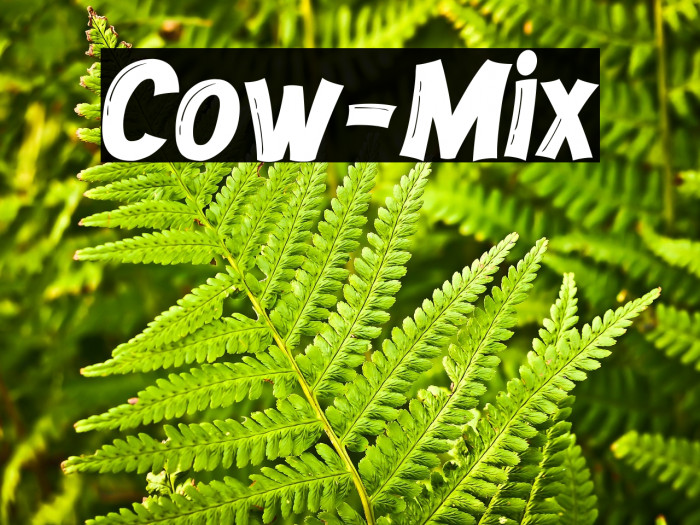 Cow-Mix Example 1
