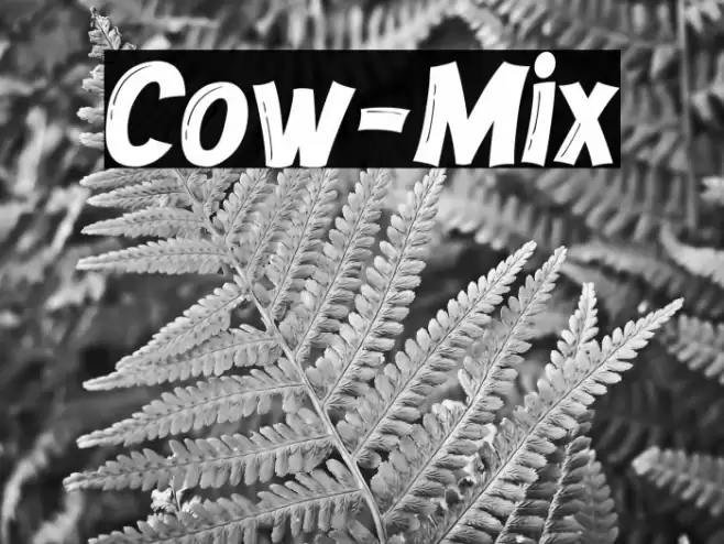 Cow-Mix Font examples