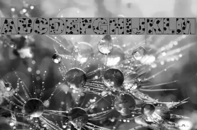 Cow-Spots Regular Font examples