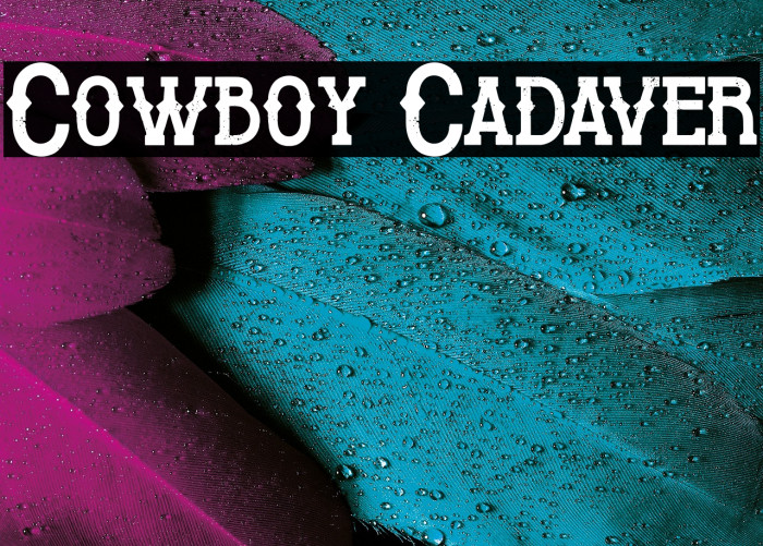 Cowboy Cadaver Example 1
