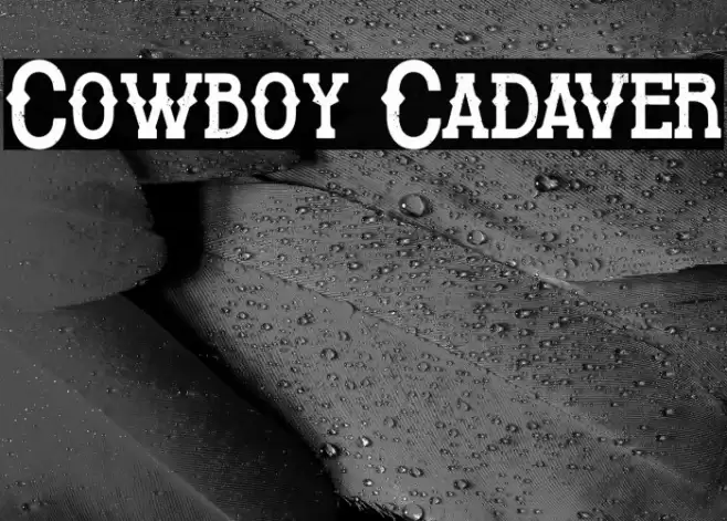 Cowboy Cadaver Font examples