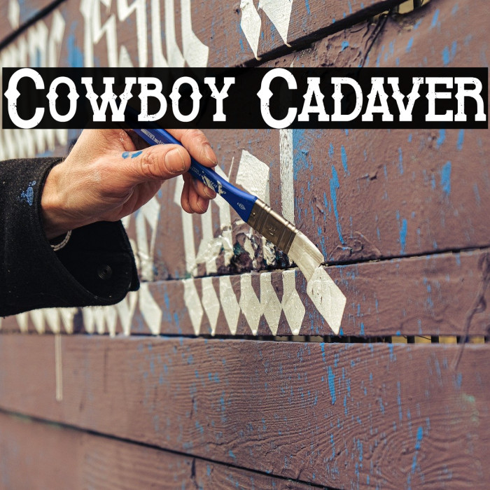 Cowboy Cadaver Example 2