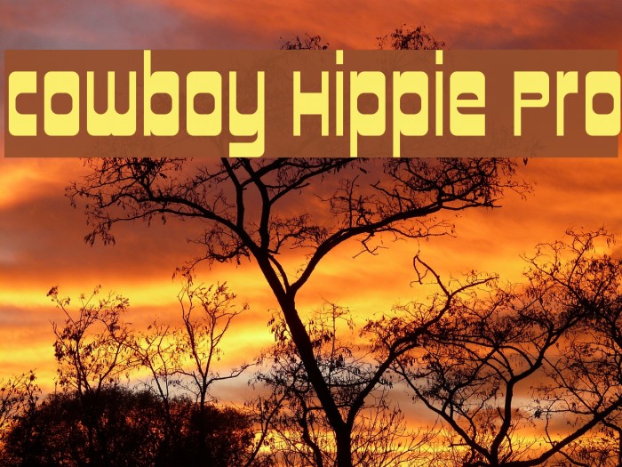 Cowboy Hippie Pro Example 2