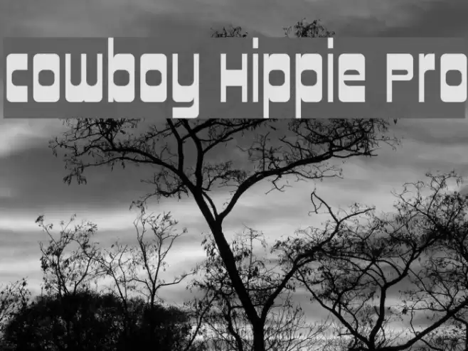 Cowboy Hippie Pro Font examples