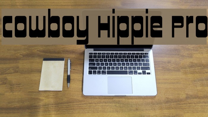 Cowboy Hippie Pro Example 3