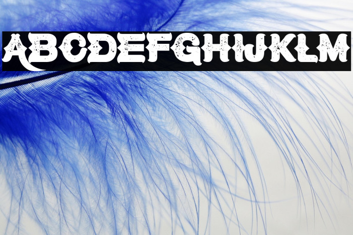 Cowboy Karaoke Example 3