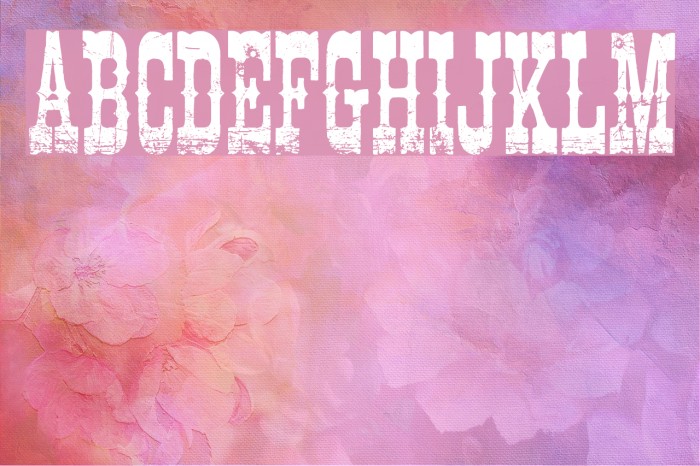 Cowboy Movie Example 2