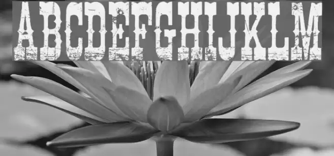 Cowboy Movie Font examples