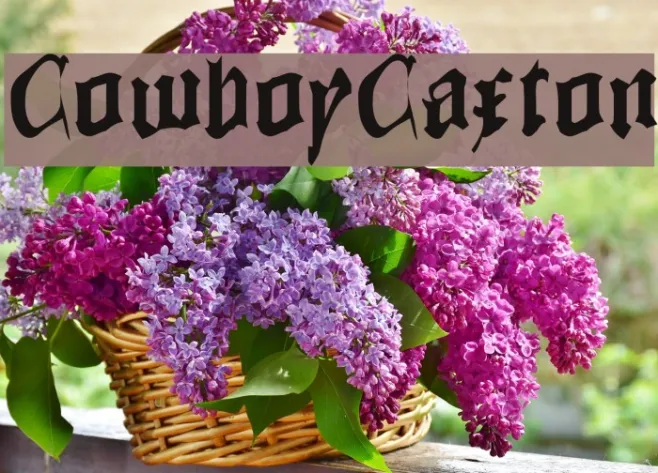 CowboyCaxton Example 1