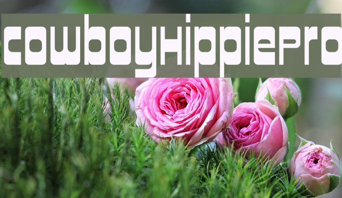 CowboyHippiePro Example 1