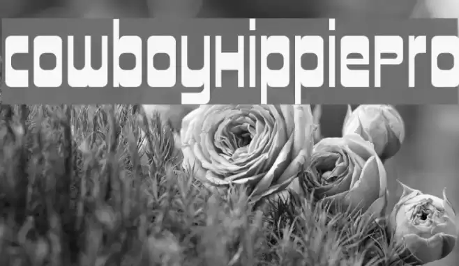 CowboyHippiePro Font examples