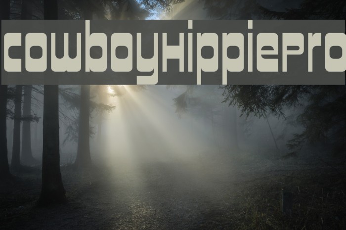 CowboyHippiePro Example 2