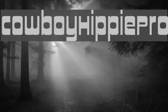 CowboyHippiePro Font examples