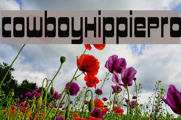 CowboyHippiePro Example 3